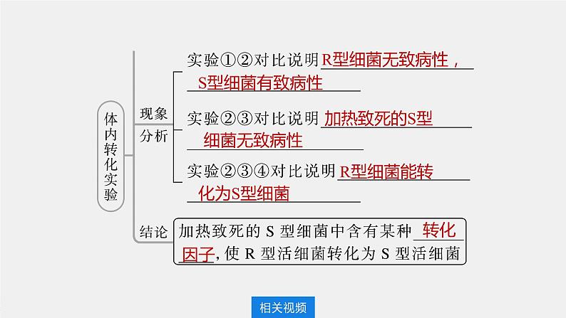 新人教新高考生物一轮复习课件  第6单元 第1课时　DNA是主要的遗传物质第8页