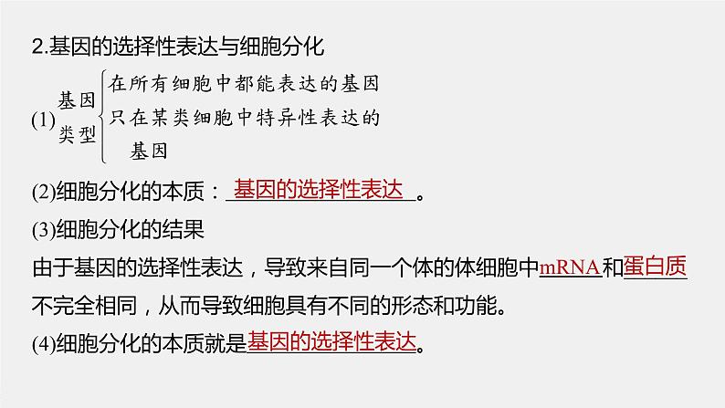 新人教新高考生物一轮复习课件  第6单元 第5课时　基因表达与性状的关系08