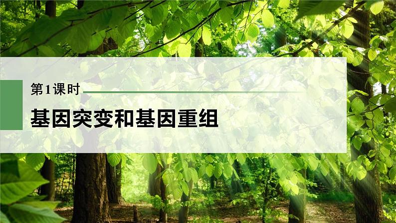 新人教新高考生物一轮复习课件  第7单元 第1课时　基因突变和基因重组第3页