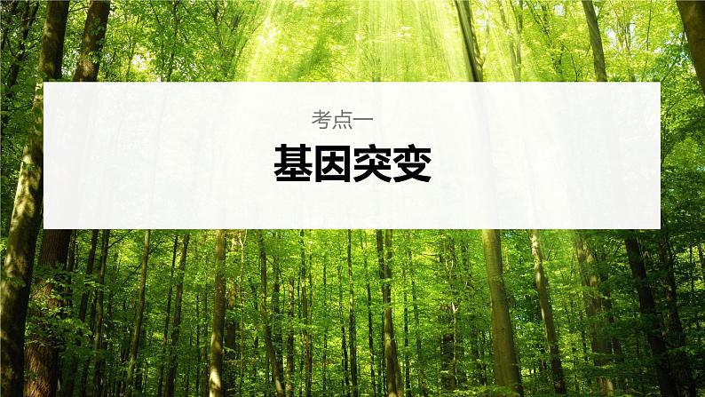 新人教新高考生物一轮复习课件  第7单元 第1课时　基因突变和基因重组第6页