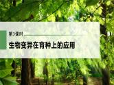 新人教新高考生物一轮复习课件  第7单元 第3课时　生物变异在育种上的应用