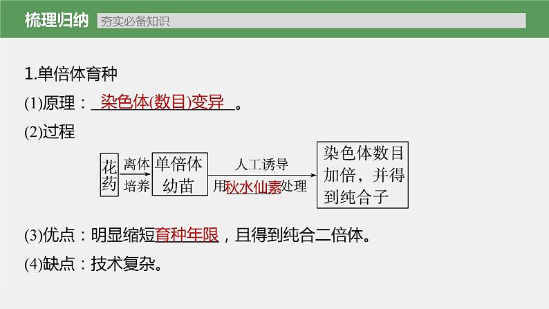 新人教新高考生物一轮复习课件  第7单元 第3课时　生物变异在育种上的应用05