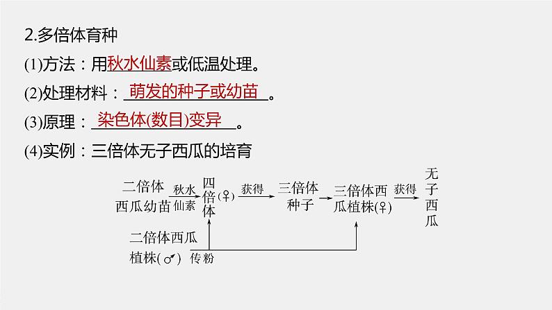 新人教新高考生物一轮复习课件  第7单元 第3课时　生物变异在育种上的应用06