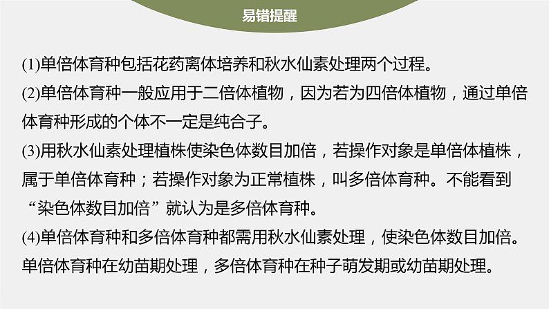 新人教新高考生物一轮复习课件  第7单元 第3课时　生物变异在育种上的应用08