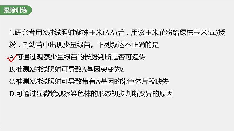 新人教新高考生物一轮复习课件  第7单元 微专题六　利用“假说—演绎法”解决生物变异实验探究题第5页