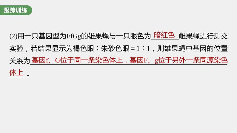新人教新高考生物一轮复习课件  第7单元 微专题六　利用“假说—演绎法”解决生物变异实验探究题第8页