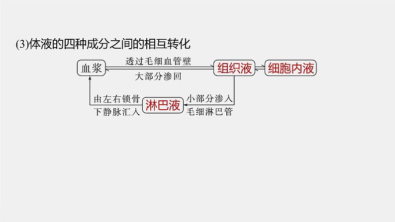 新人教新高考生物一轮复习课件  第8单元 第1课时　人体的内环境与稳态08