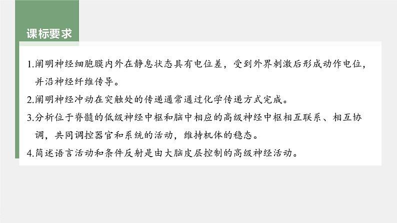 新人教新高考生物一轮复习课件  第8单元 第3课时　神经冲动的产生和传导、神经系统的分级调节及人脑的高级功能第4页