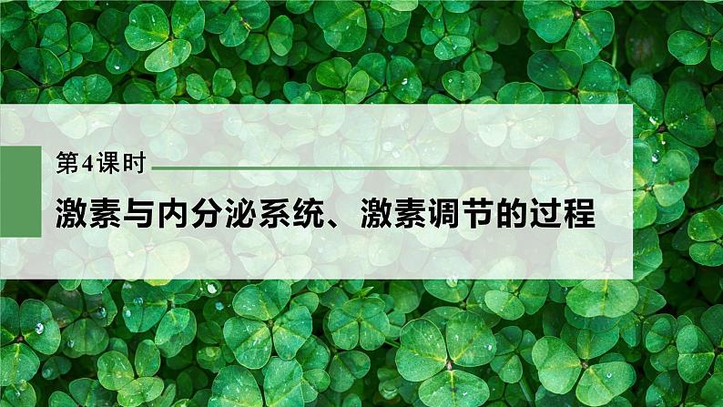 新人教新高考生物一轮复习课件  第8单元 第4课时　激素与内分泌系统、激素调节的过程03