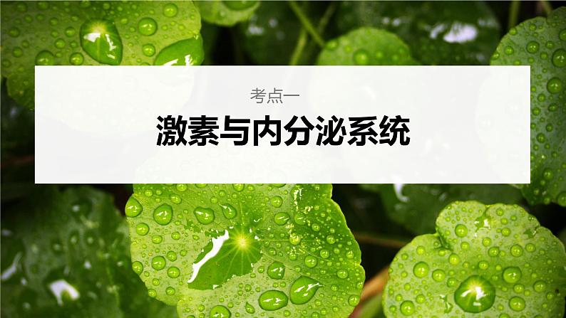 新人教新高考生物一轮复习课件  第8单元 第4课时　激素与内分泌系统、激素调节的过程06