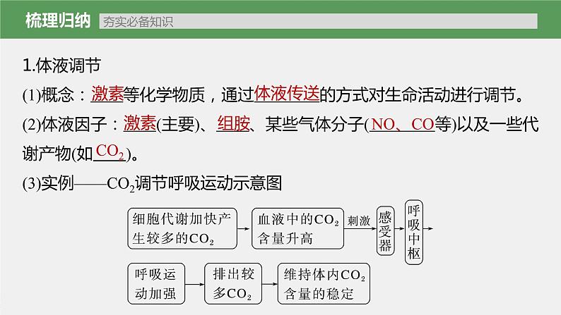 新人教新高考生物一轮复习课件  第8单元 第5课时　体液调节与神经调节的关系07