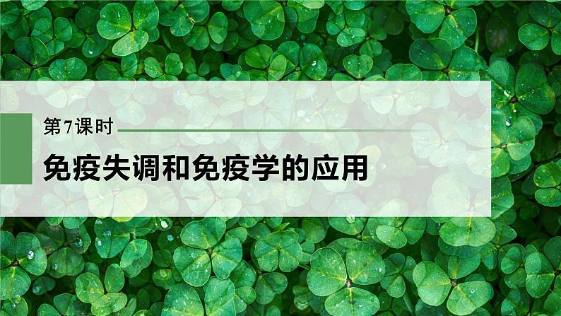 新人教新高考生物一轮复习课件  第8单元 第7课时　免疫失调和免疫学的应用03