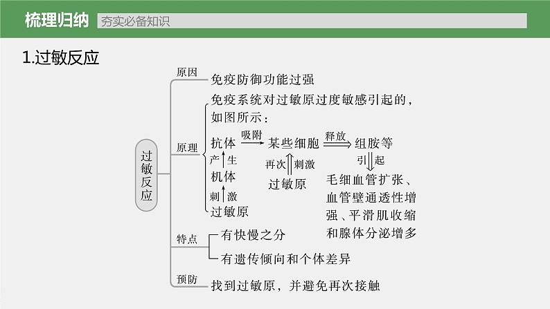 新人教新高考生物一轮复习课件  第8单元 第7课时　免疫失调和免疫学的应用07