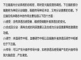 新人教新高考生物一轮复习课件  第8单元 微专题八　动物生命活动调节模型的构建和分析