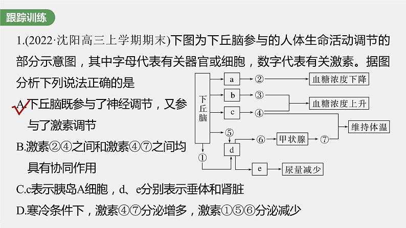 新人教新高考生物一轮复习课件  第8单元 微专题八　动物生命活动调节模型的构建和分析第6页