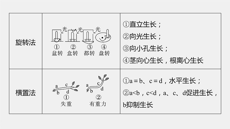 新人教新高考生物一轮复习课件  第8单元 微专题九　植物激素调节的相关实验探究06