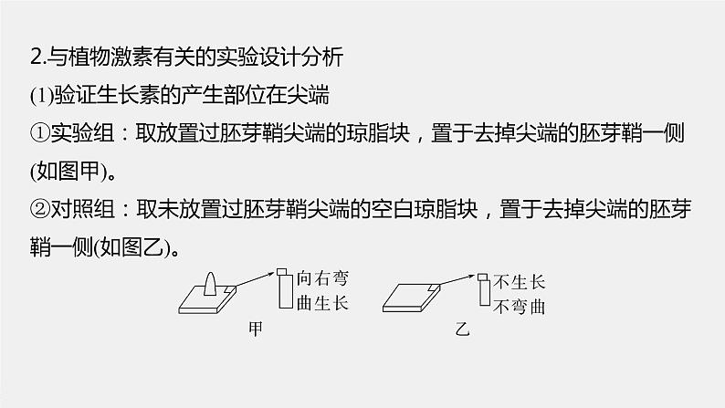 新人教新高考生物一轮复习课件  第8单元 微专题九　植物激素调节的相关实验探究07