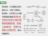 新人教新高考生物一轮复习课件  第8单元 长句表达(四)　个体稳态中相关过程变化机理分析