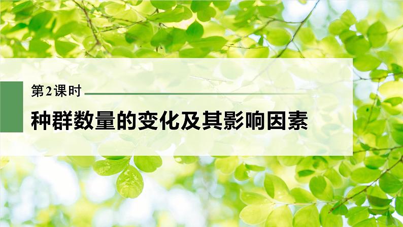 新人教新高考生物一轮复习课件  第9单元 第2课时　种群数量的变化及其影响因素第3页