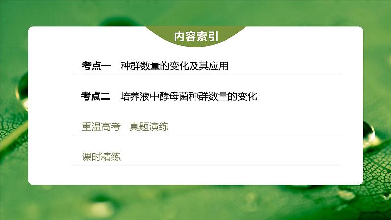 新人教新高考生物一轮复习课件  第9单元 第2课时　种群数量的变化及其影响因素第5页