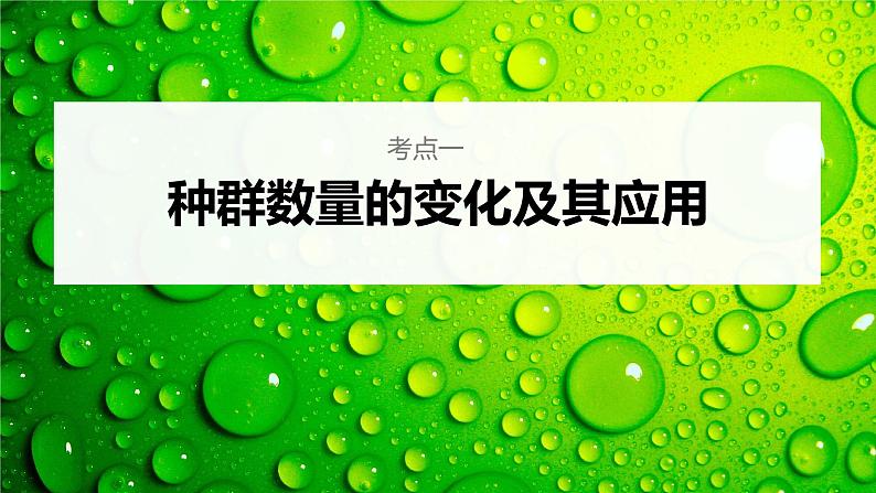 新人教新高考生物一轮复习课件  第9单元 第2课时　种群数量的变化及其影响因素第6页