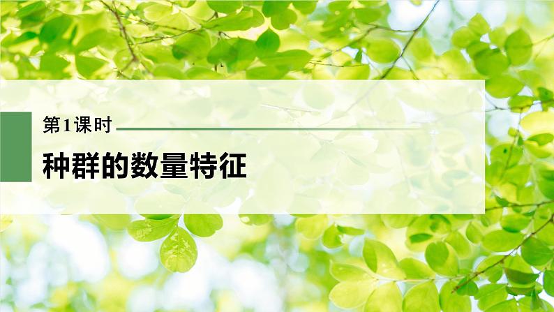 新人教新高考生物一轮复习课件  第9单元 第1课时　种群的数量特征03