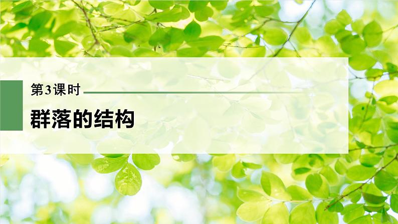 新人教新高考生物一轮复习课件  第9单元 第3课时　群落的结构03