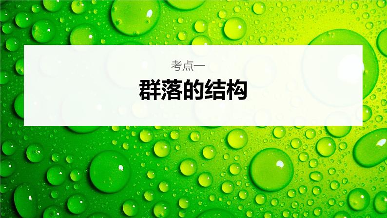 新人教新高考生物一轮复习课件  第9单元 第3课时　群落的结构06