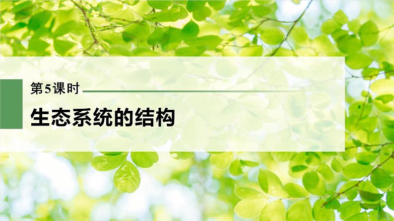 新人教新高考生物一轮复习课件  第9单元 第5课时　生态系统的结构03