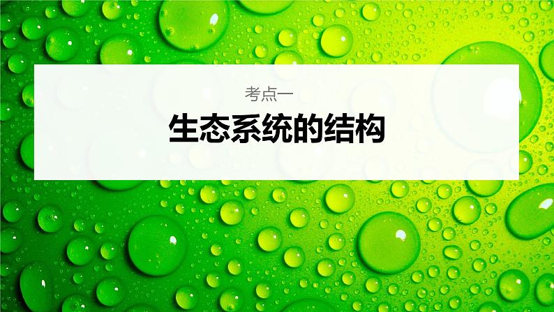 新人教新高考生物一轮复习课件  第9单元 第5课时　生态系统的结构06