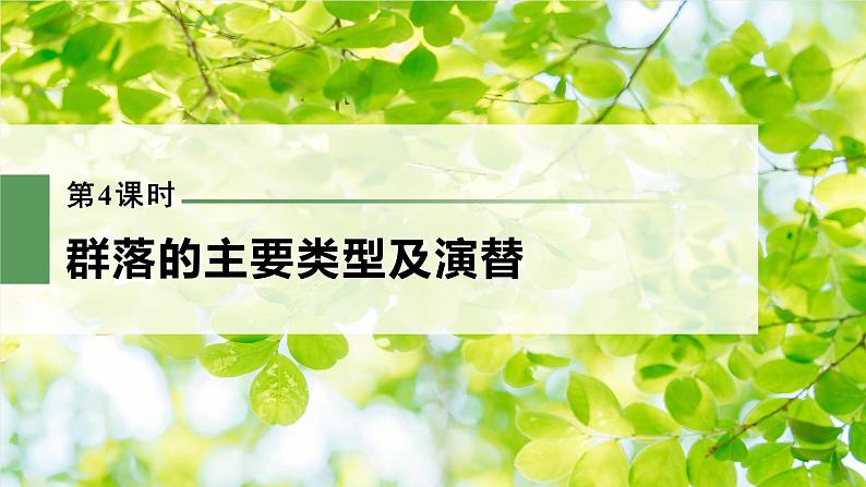 新人教新高考生物一轮复习课件  第9单元 第4课时　群落的主要类型及演替03