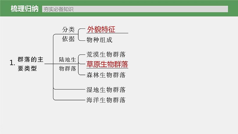 新人教新高考生物一轮复习课件  第9单元 第4课时　群落的主要类型及演替07