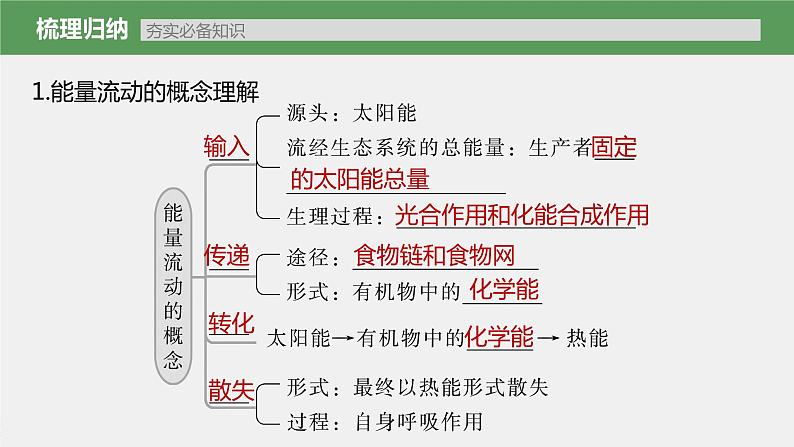 新人教新高考生物一轮复习课件  第9单元 第6课时　生态系统的能量流动05