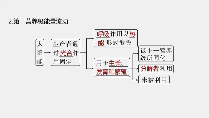 新人教新高考生物一轮复习课件  第9单元 第6课时　生态系统的能量流动07