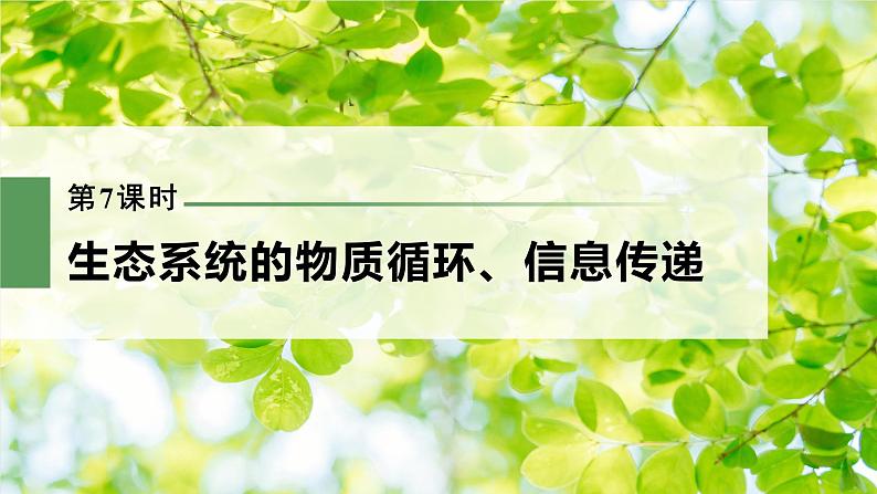 新人教新高考生物一轮复习课件  第9单元 第7课时　生态系统的物质循环、信息传递03