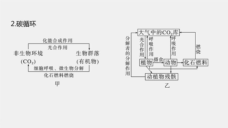 新人教新高考生物一轮复习课件  第9单元 第7课时　生态系统的物质循环、信息传递08