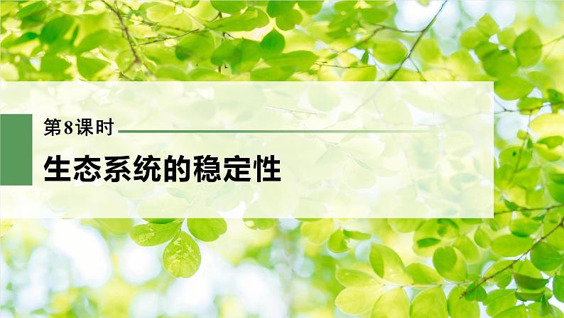 新人教新高考生物一轮复习课件  第9单元 第8课时　生态系统的稳定性03