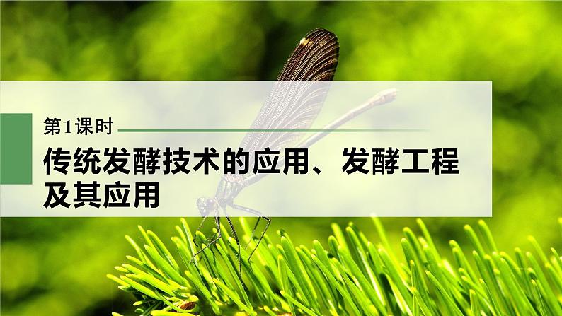 新人教新高考生物一轮复习课件  第10单元 第1课时　传统发酵技术的应用、发酵工程及其应用第3页