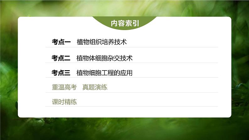 新人教新高考生物一轮复习课件  第10单元 第3课时　植物细胞工程05