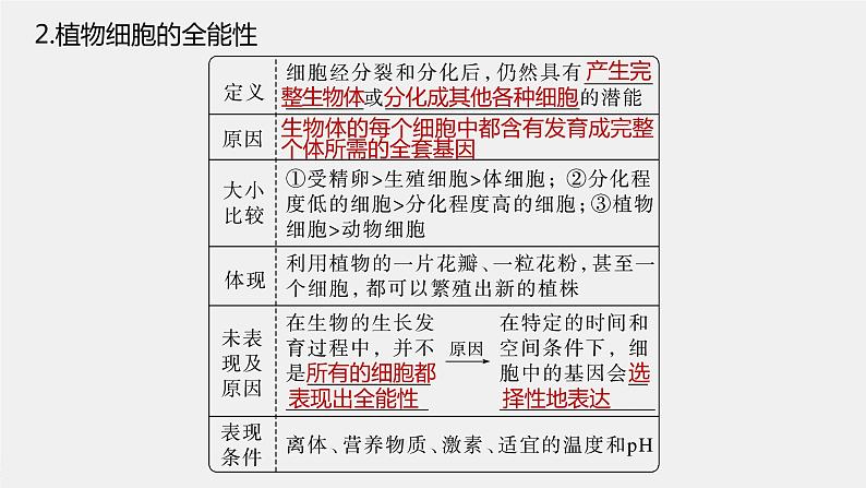 新人教新高考生物一轮复习课件  第10单元 第3课时　植物细胞工程08