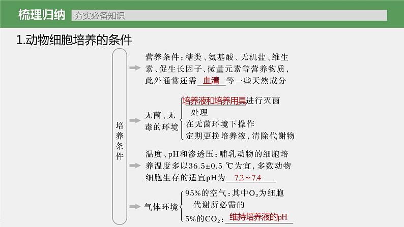 新人教新高考生物一轮复习课件  第10单元 第4课时　动物细胞工程第7页