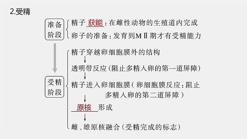 新人教新高考生物一轮复习课件  第10单元 第5课时　胚胎工程第8页