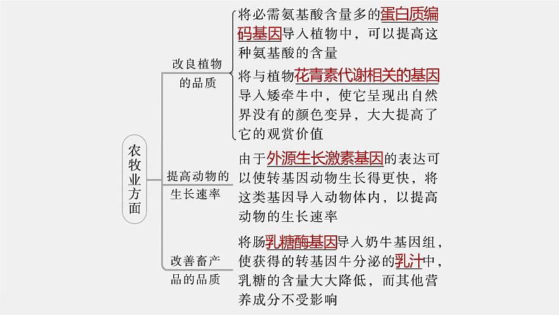 新人教新高考生物一轮复习课件  第10单元 第7课时　基因工程的应用和蛋白质工程08