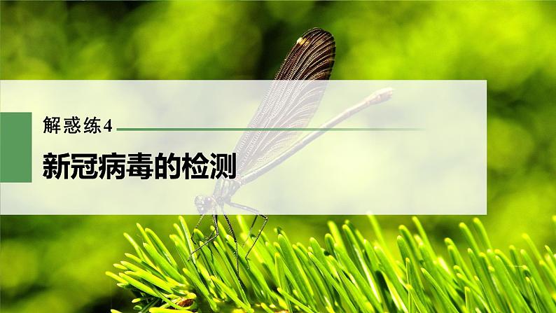 新人教新高考生物一轮复习课件  第10单元 解惑练4　新冠病毒的检测03