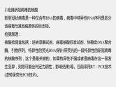 新人教新高考生物一轮复习课件  第10单元 解惑练4　新冠病毒的检测