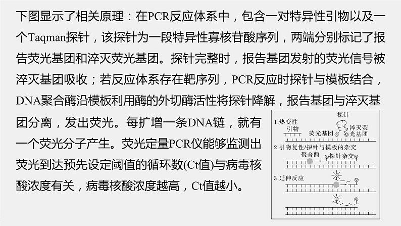 新人教新高考生物一轮复习课件  第10单元 解惑练4　新冠病毒的检测07