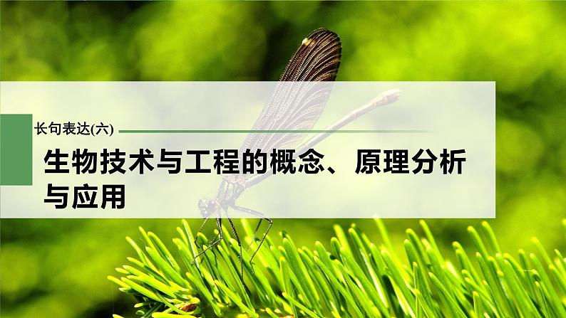 新人教新高考生物一轮复习课件  第10单元 长句表达(六)　生物技术与工程的概念、原理分析与应用第3页