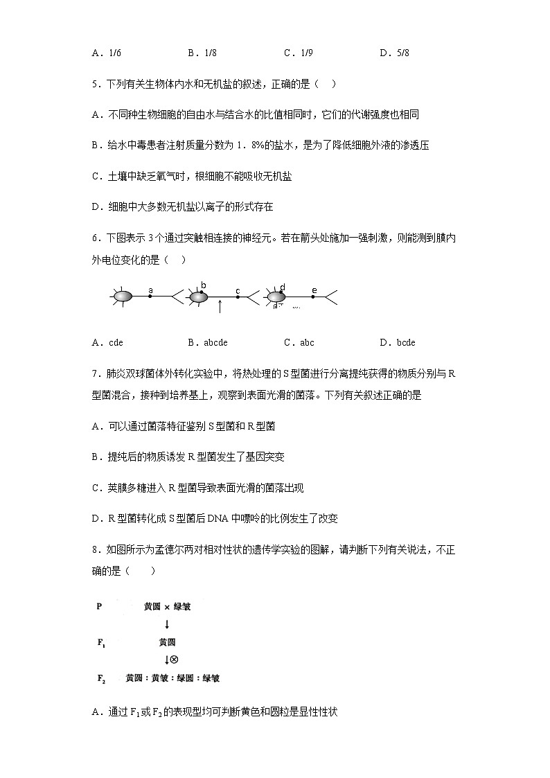 2022-2023学年新疆维吾尔自治区乌鲁木齐市第101中学高三下学期2月月考试题生物含答案02
