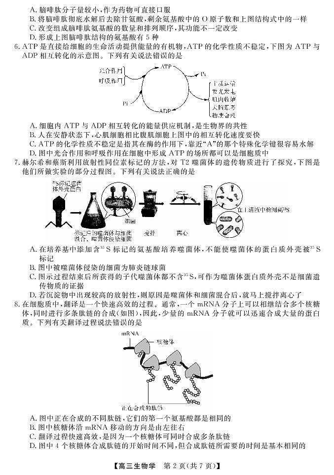 2023届湖南省三湘名校高三第二次大联考（月考）试题生物PDF版含答案03