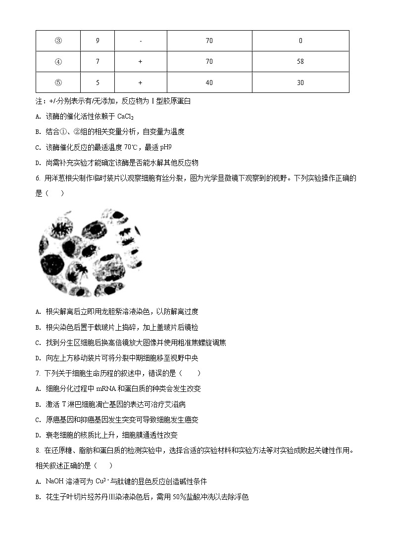2022江苏省泰兴、如皋四校高二下学期期末联考生物试题含解析02
